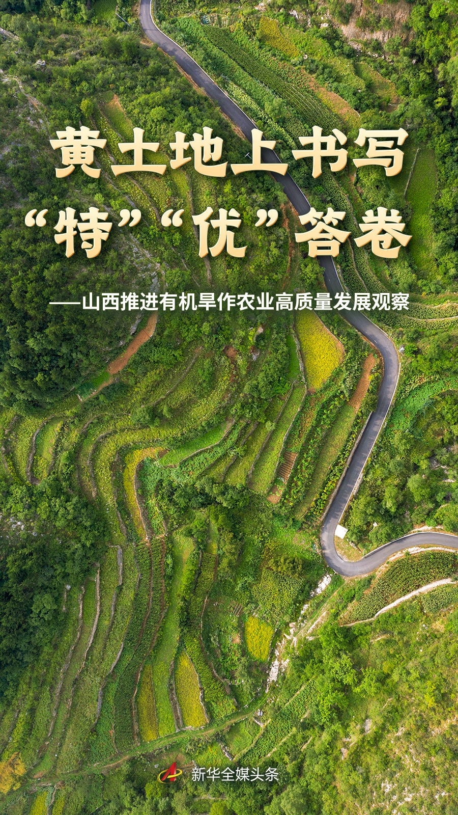 深度赛事解读 - 天天盈球